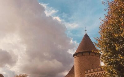 Terroir Miroir: alla scoperta della bellezza tra Francia e Sicilia
